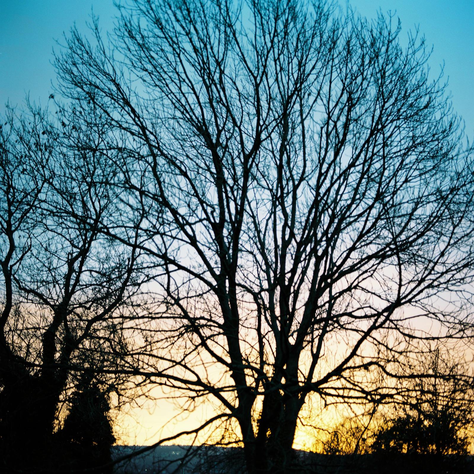 Banner image for Sunrise over Sheffield