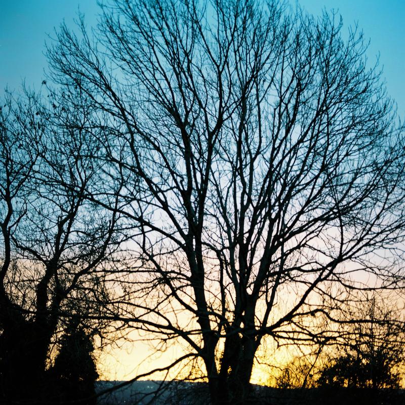 Banner image for Sunrise over Sheffield