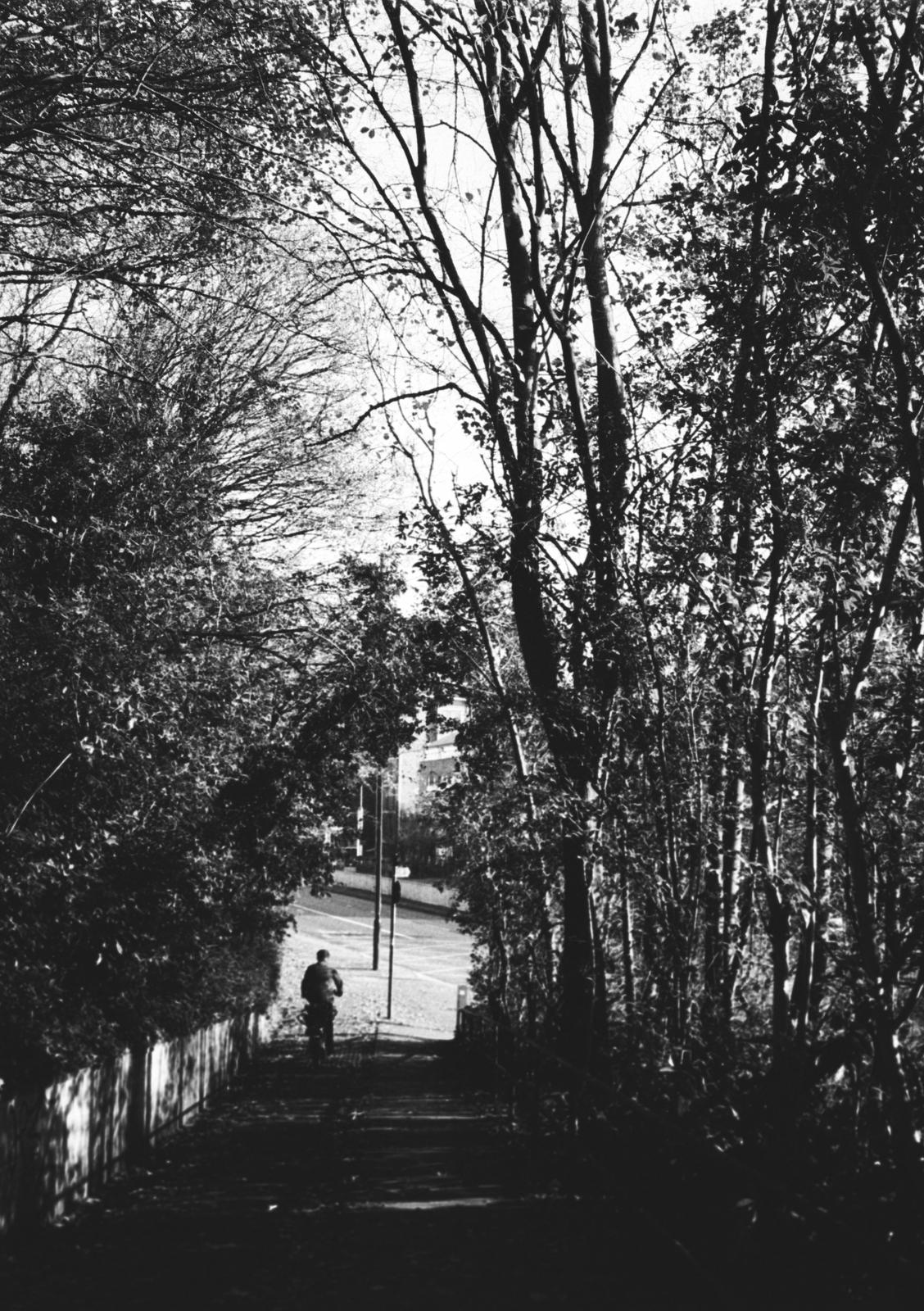 A cyclist in a wood.