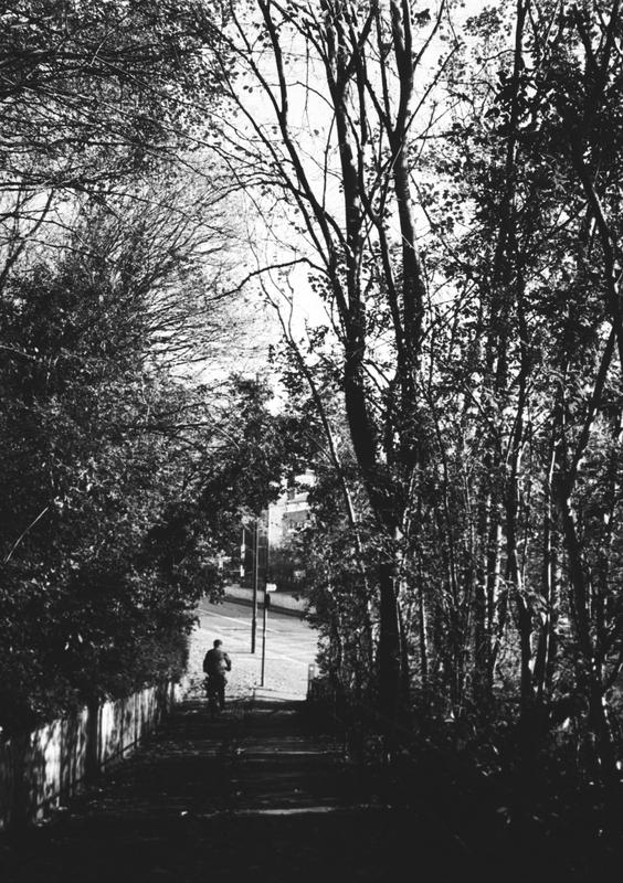 A cyclist in a wood.
