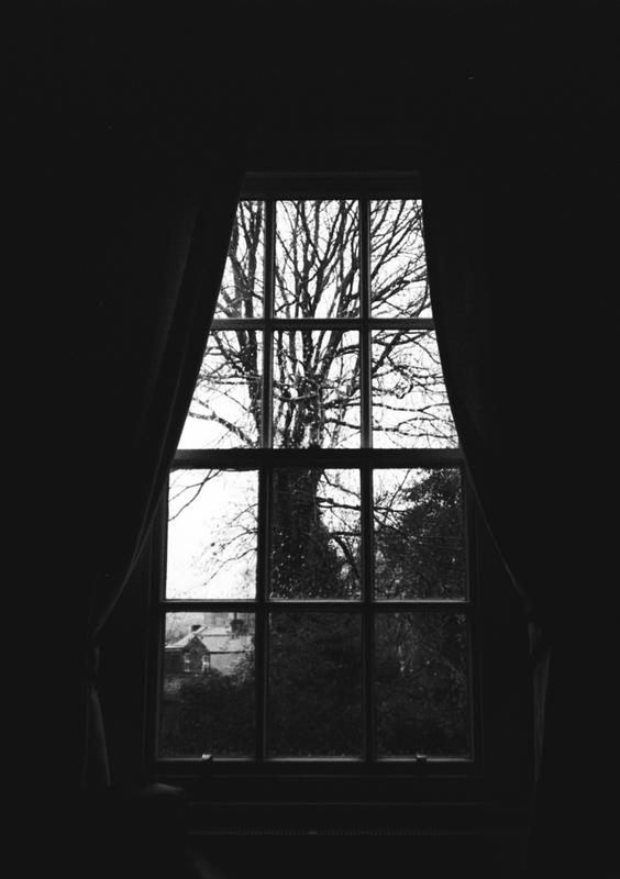 A tree through a window.