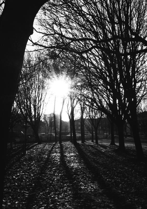 Banner image for Some more shots around Sheffield