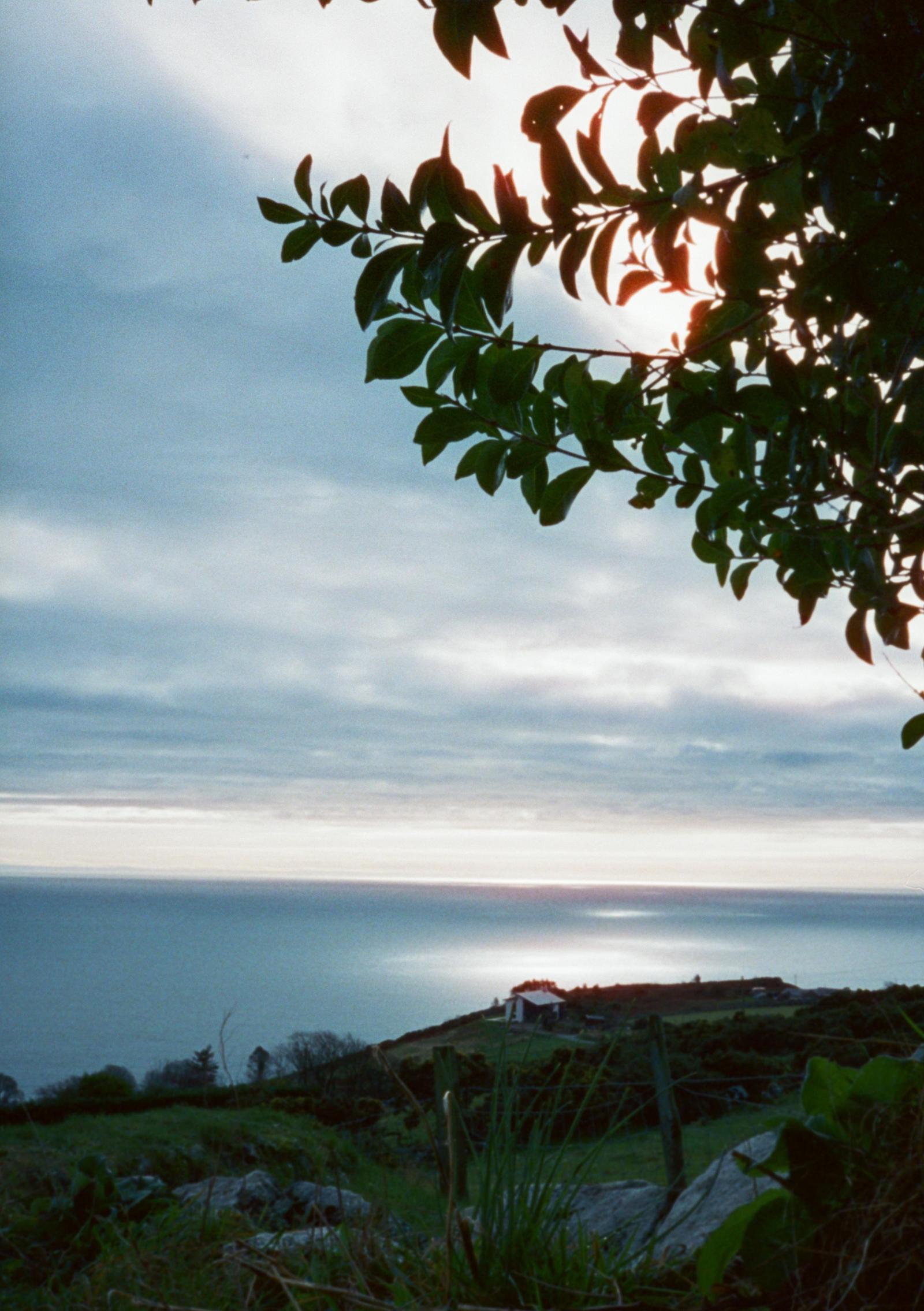 The sea