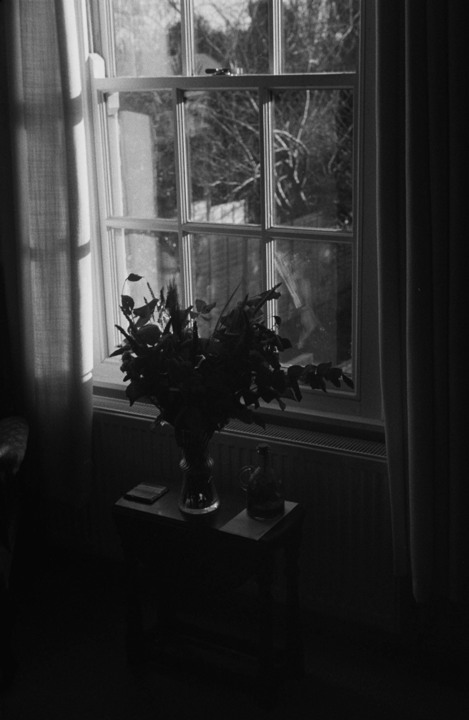 A vase with flowers in