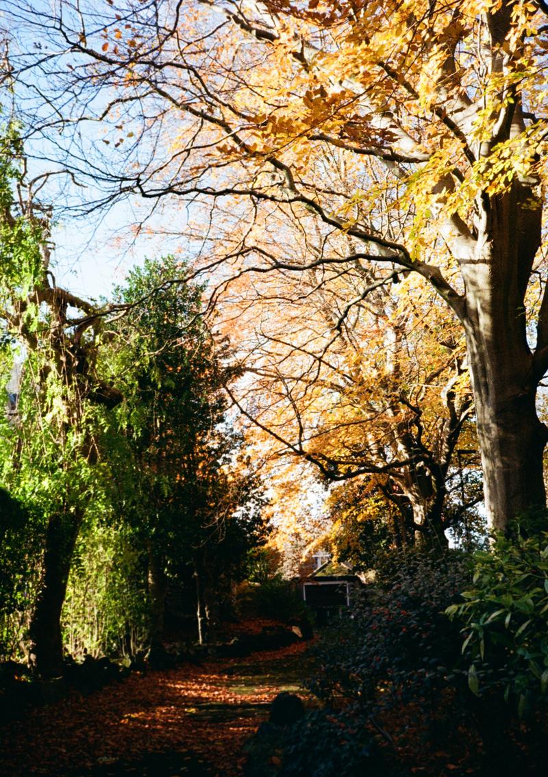A house at the end of a leafy drive