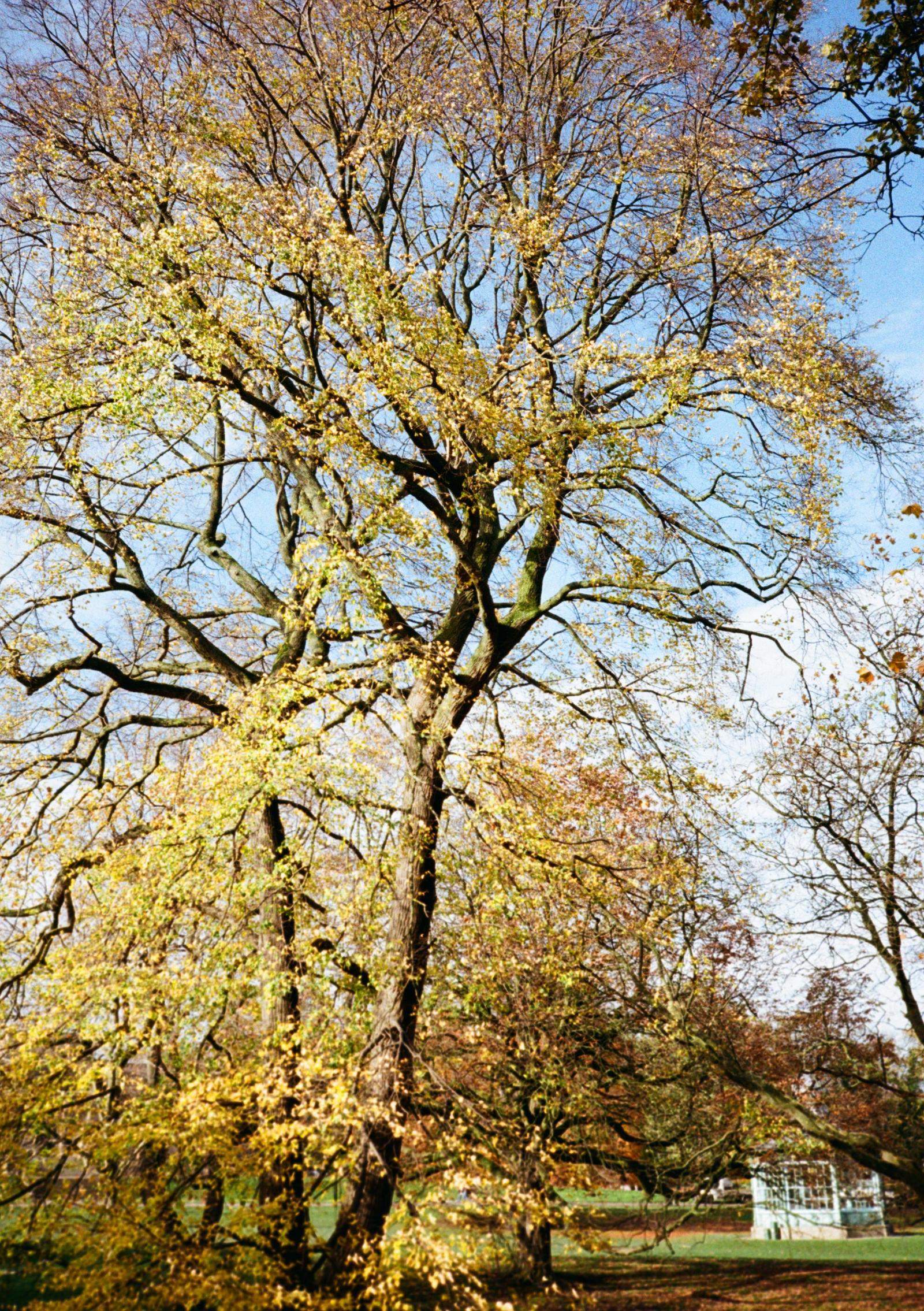 Weston Park