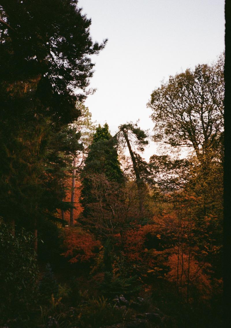 Banner image for Some pictures around Sheffield