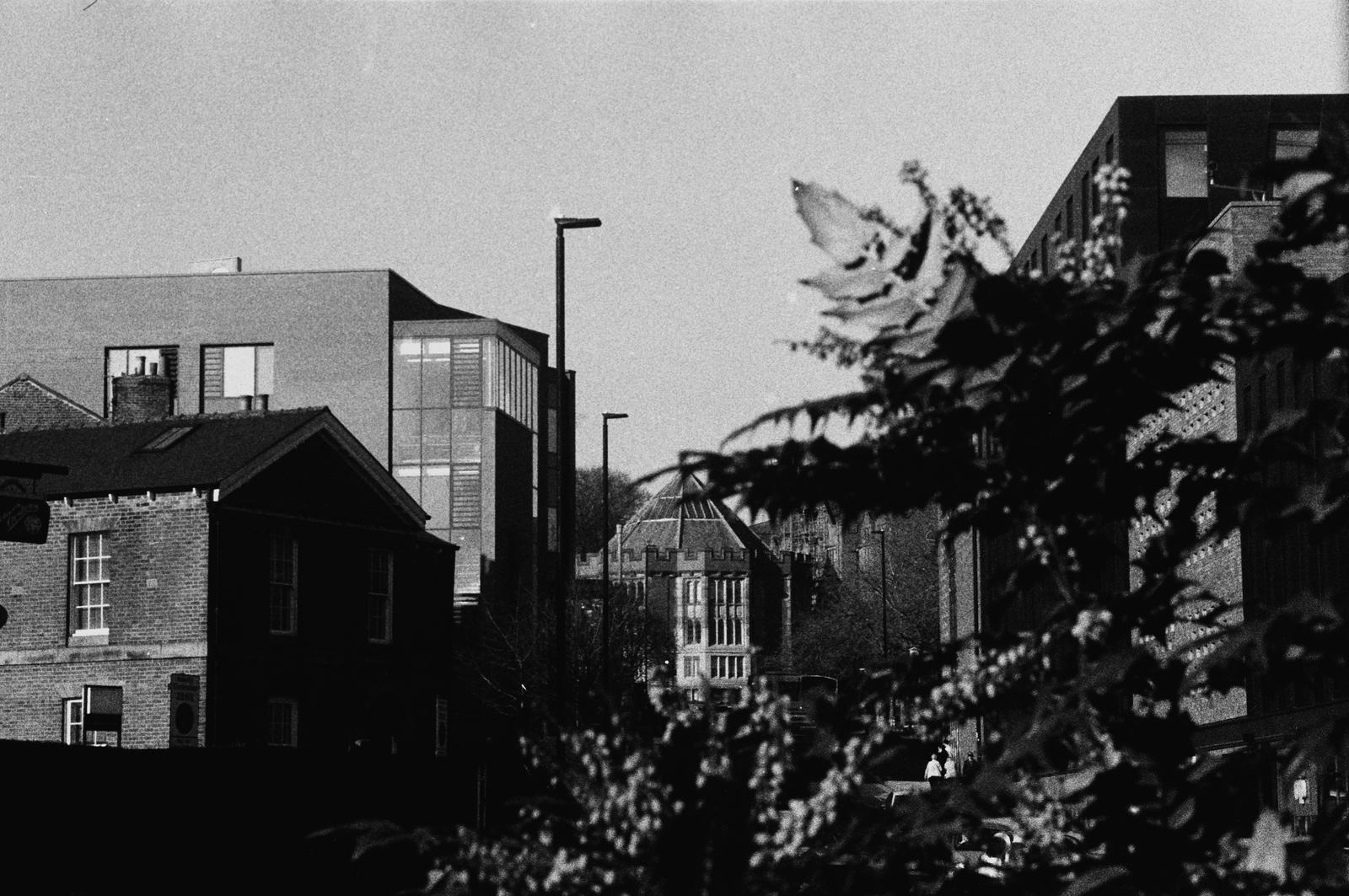A university
