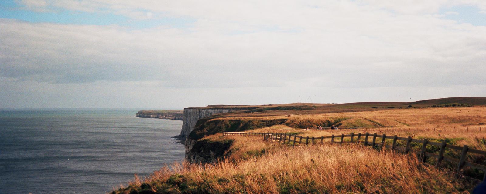 Bempton cliffs
