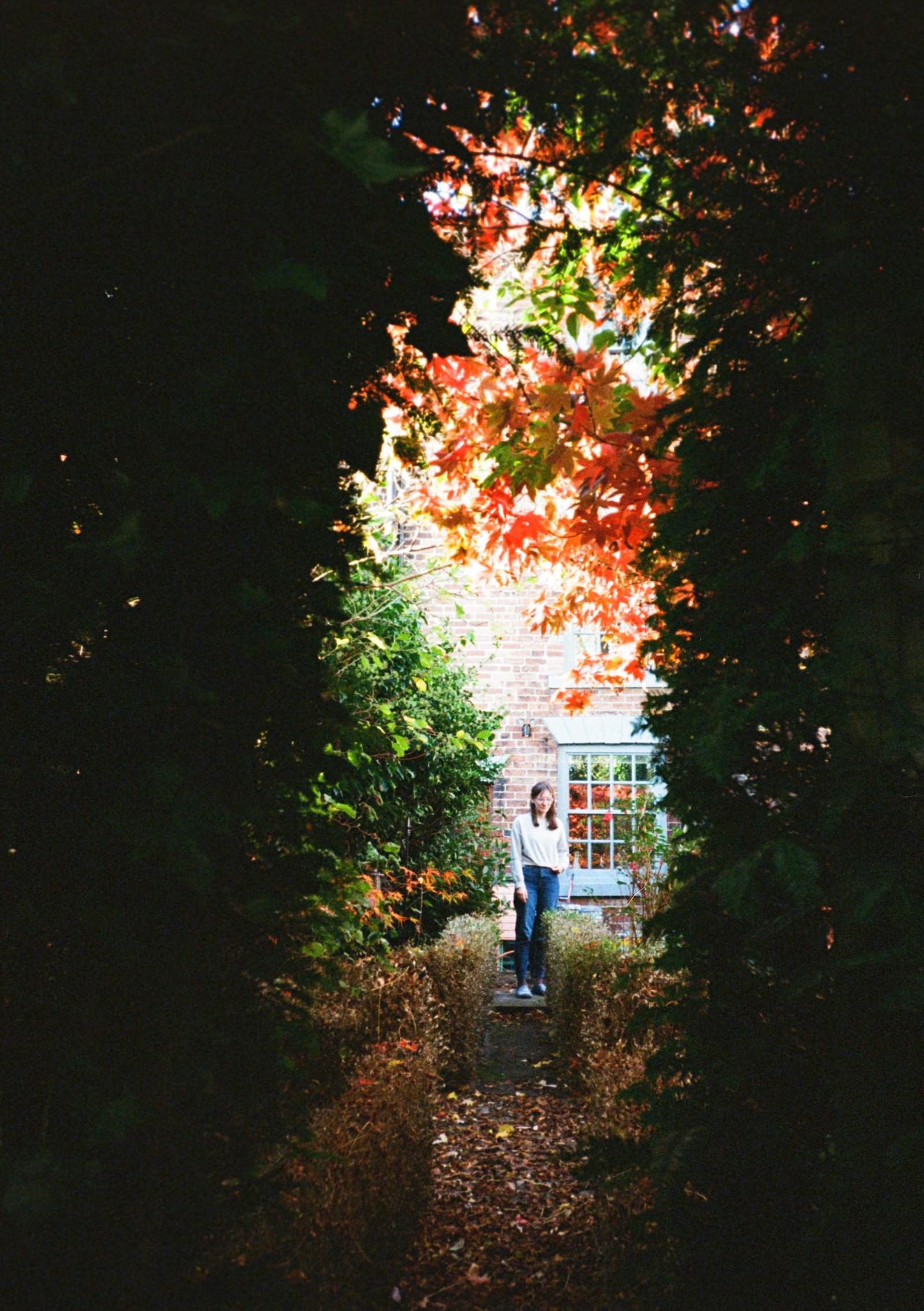 A woman in a garden