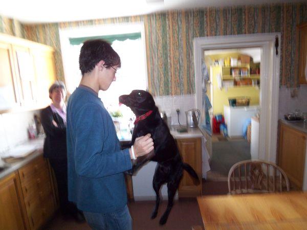 A dog jumping up at a guy