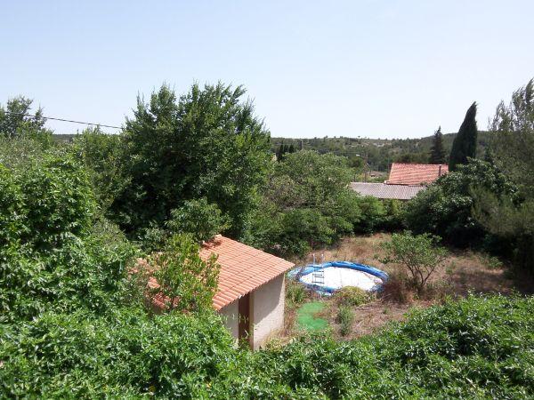 A pool in a garden