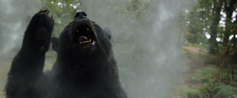 Banner image for Cocaine Bear