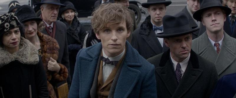 Banner image for Fantastic Beasts and Where to Find Them