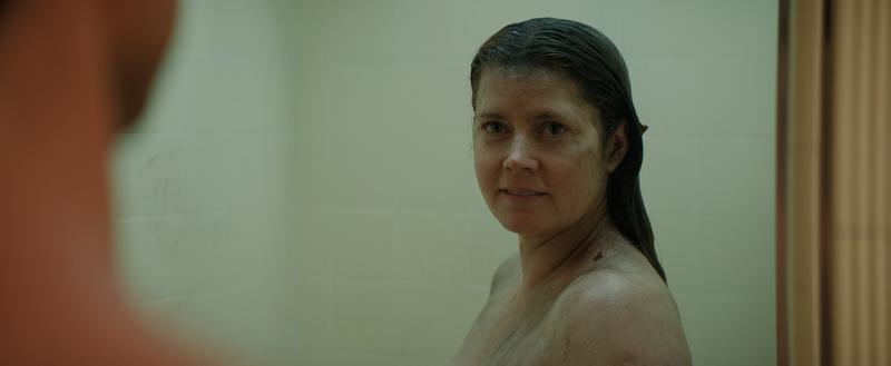 Banner image for Nightbitch