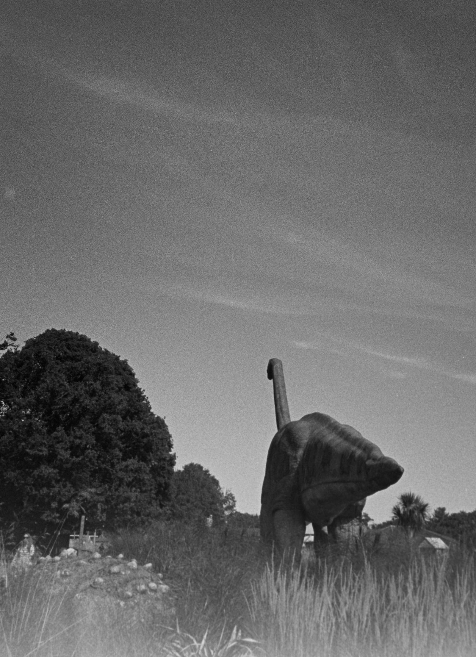 A huge dinosaur statue in the woods