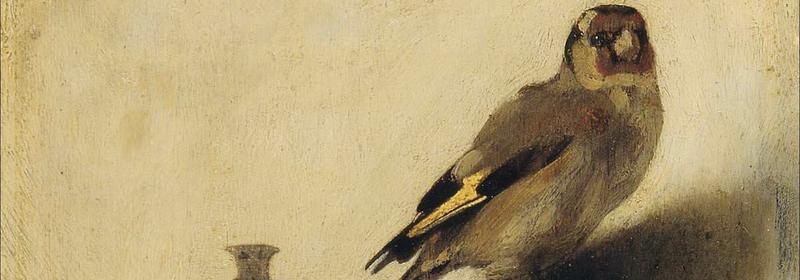 Banner image for The Goldfinch