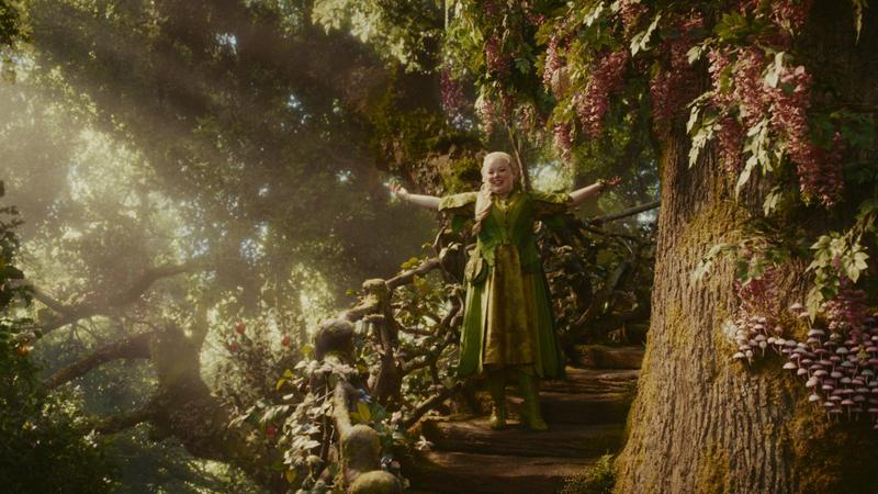 Banner image for The Magic Faraway Tree